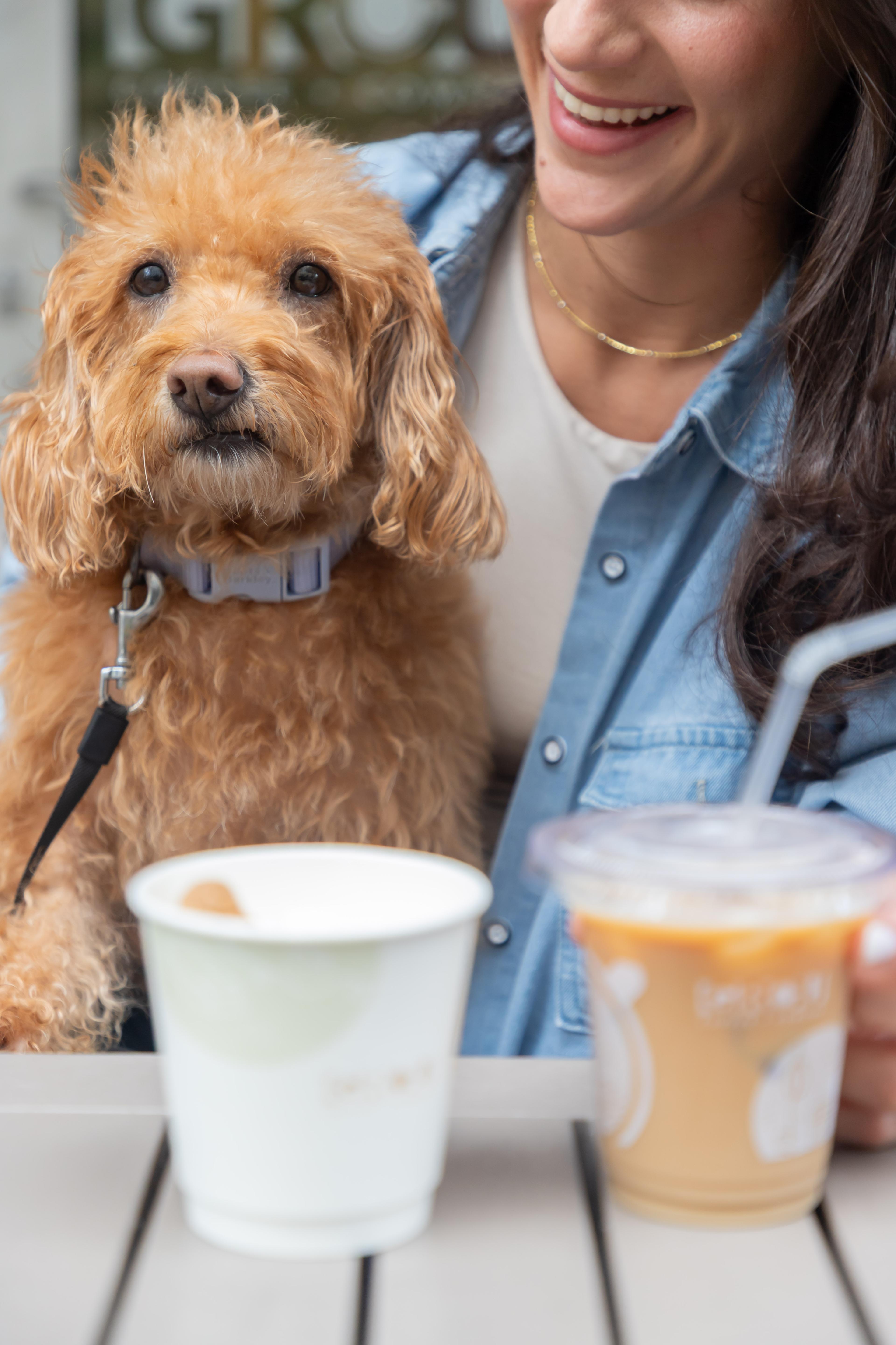 Dog Friendly Coffee Shops in Coral Gables and Miami